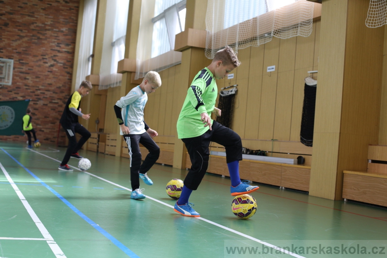 BFŠJCH - Léto 2017 - 28.7.2018