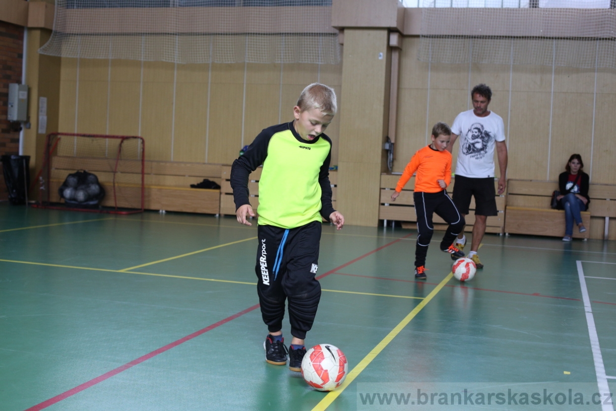 BFŠJCH - Léto 2017 - 28.7.2018