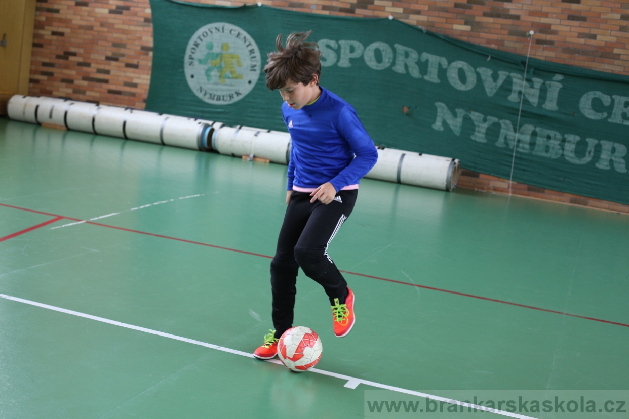 BFŠJCH - Léto 2017 - 28.7.2018