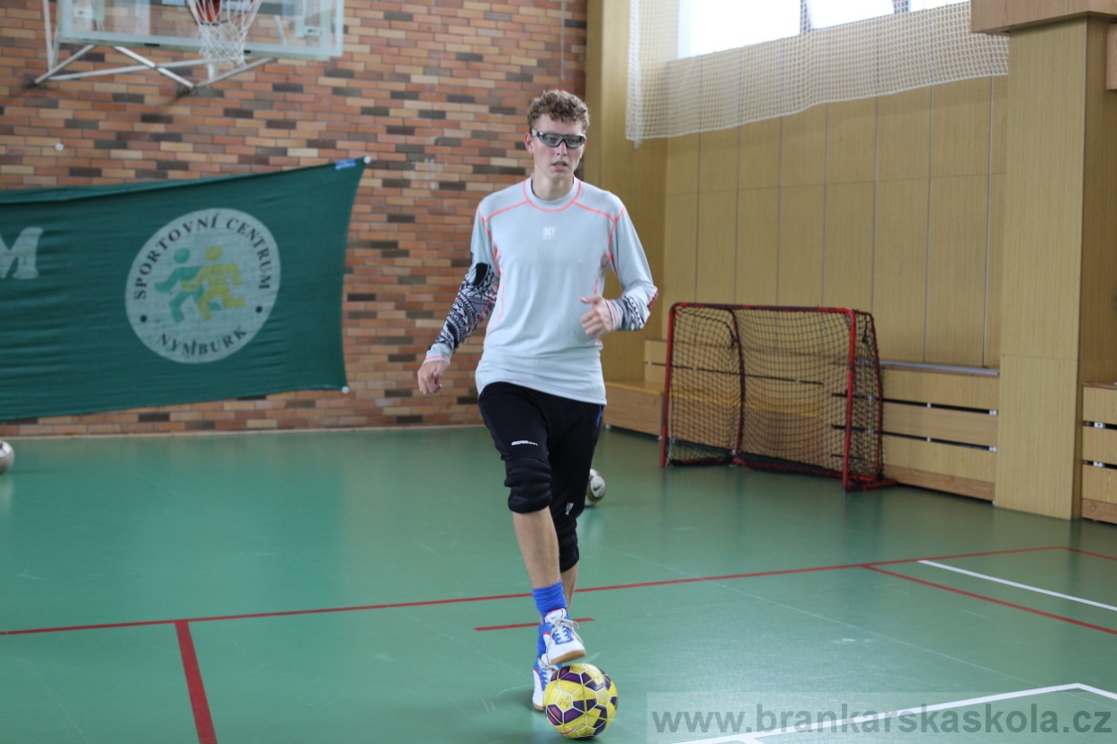 BFŠJCH - Léto 2017 - 28.7.2018