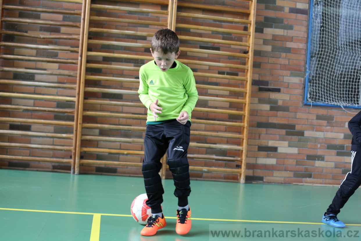 BFŠJCH - Léto 2017 - 28.7.2018