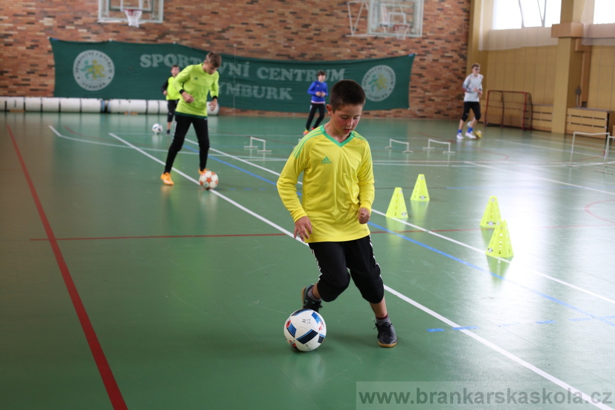 BFŠJCH - Léto 2017 - 28.7.2018