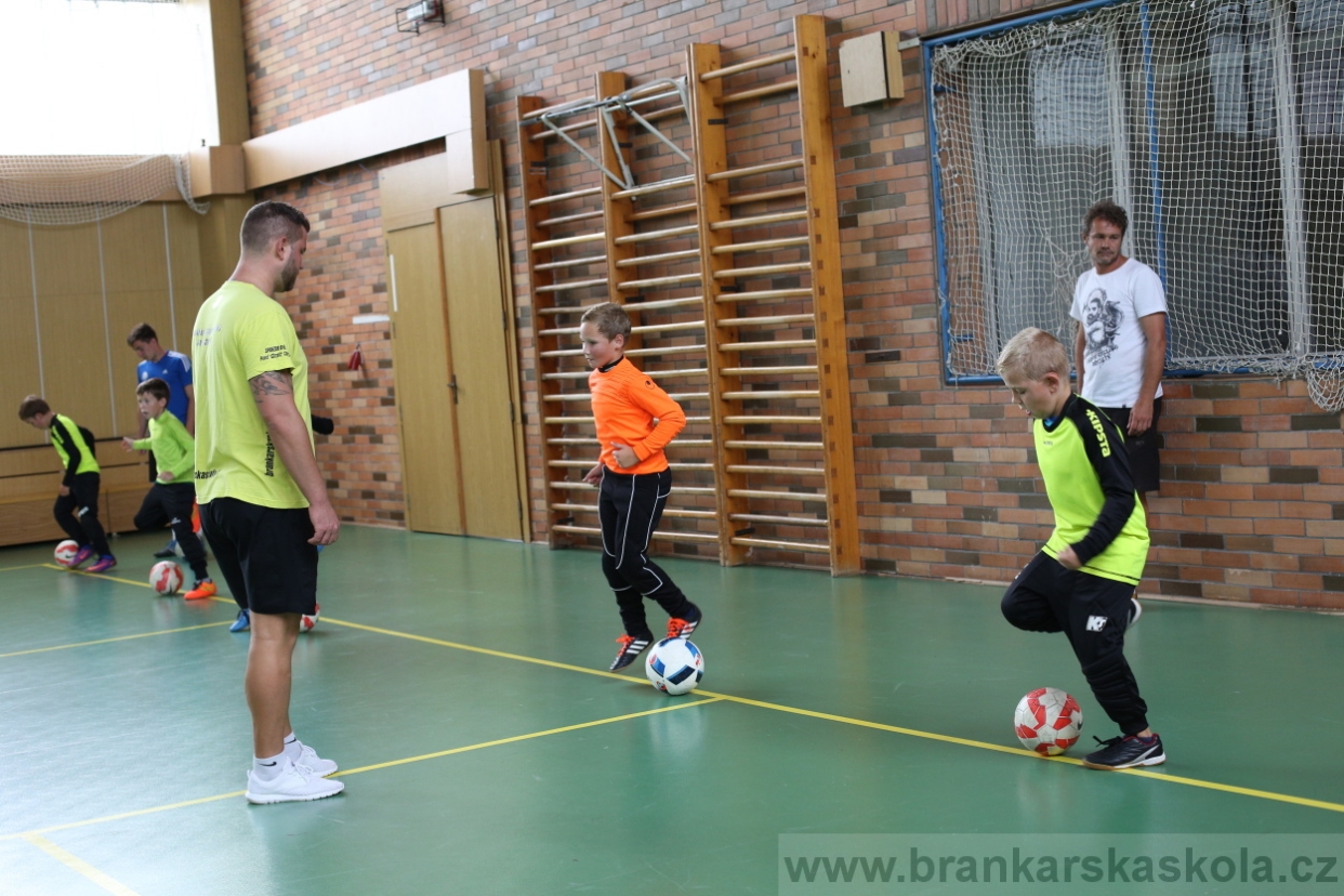 BFŠJCH - Léto 2017 - 28.7.2018