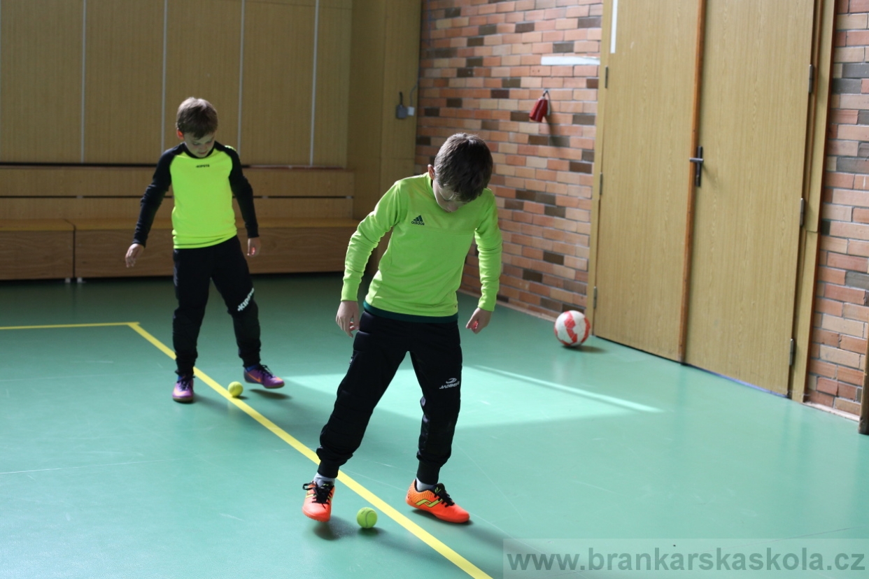 BFŠJCH - Léto 2017 - 28.7.2018