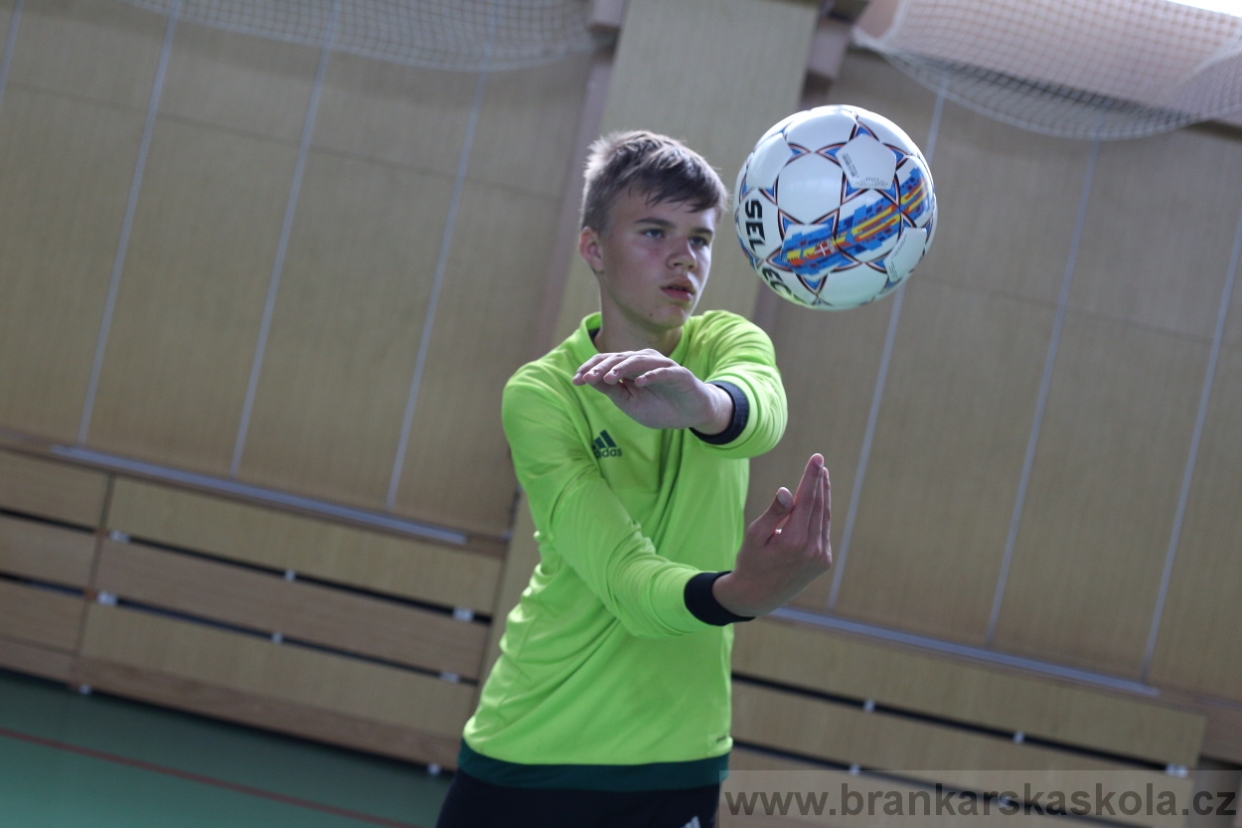 BFŠJCH - Léto 2017 - 28.7.2018