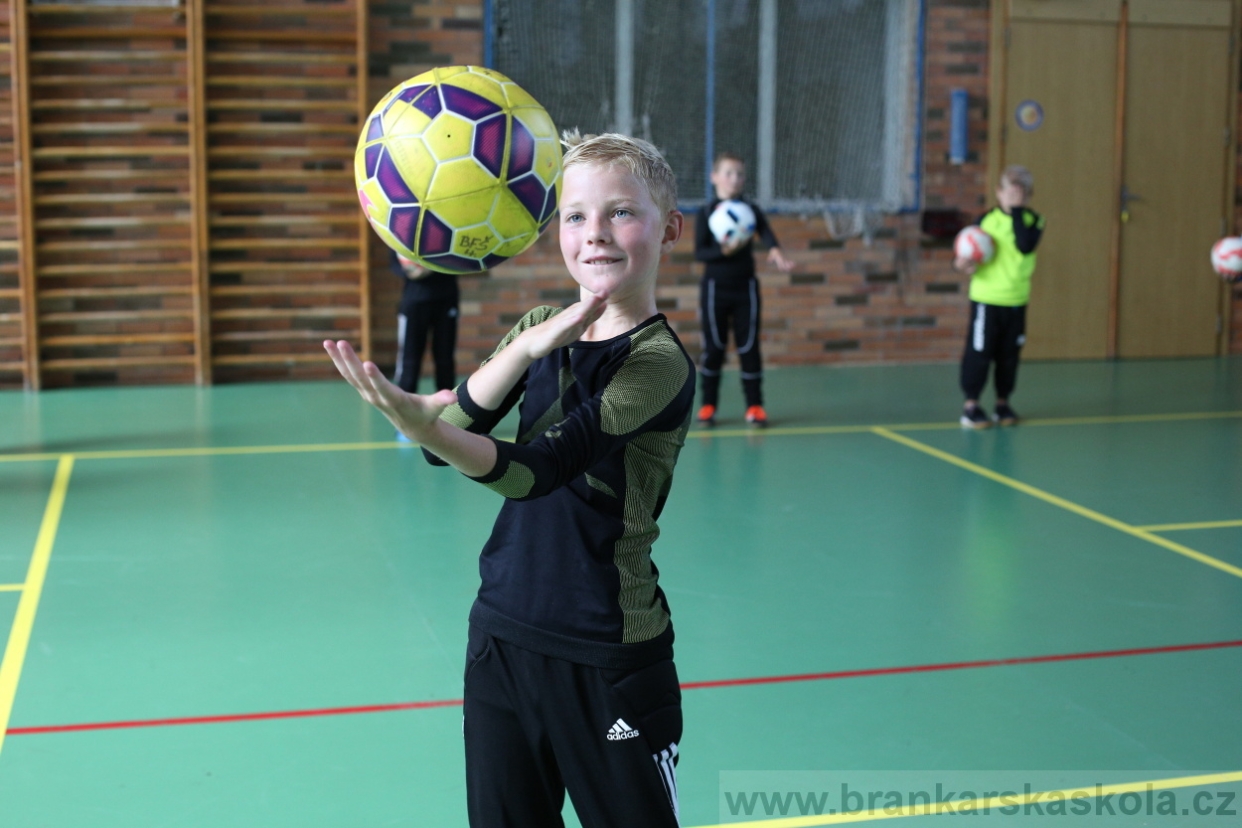 BFŠJCH - Léto 2017 - 28.7.2018