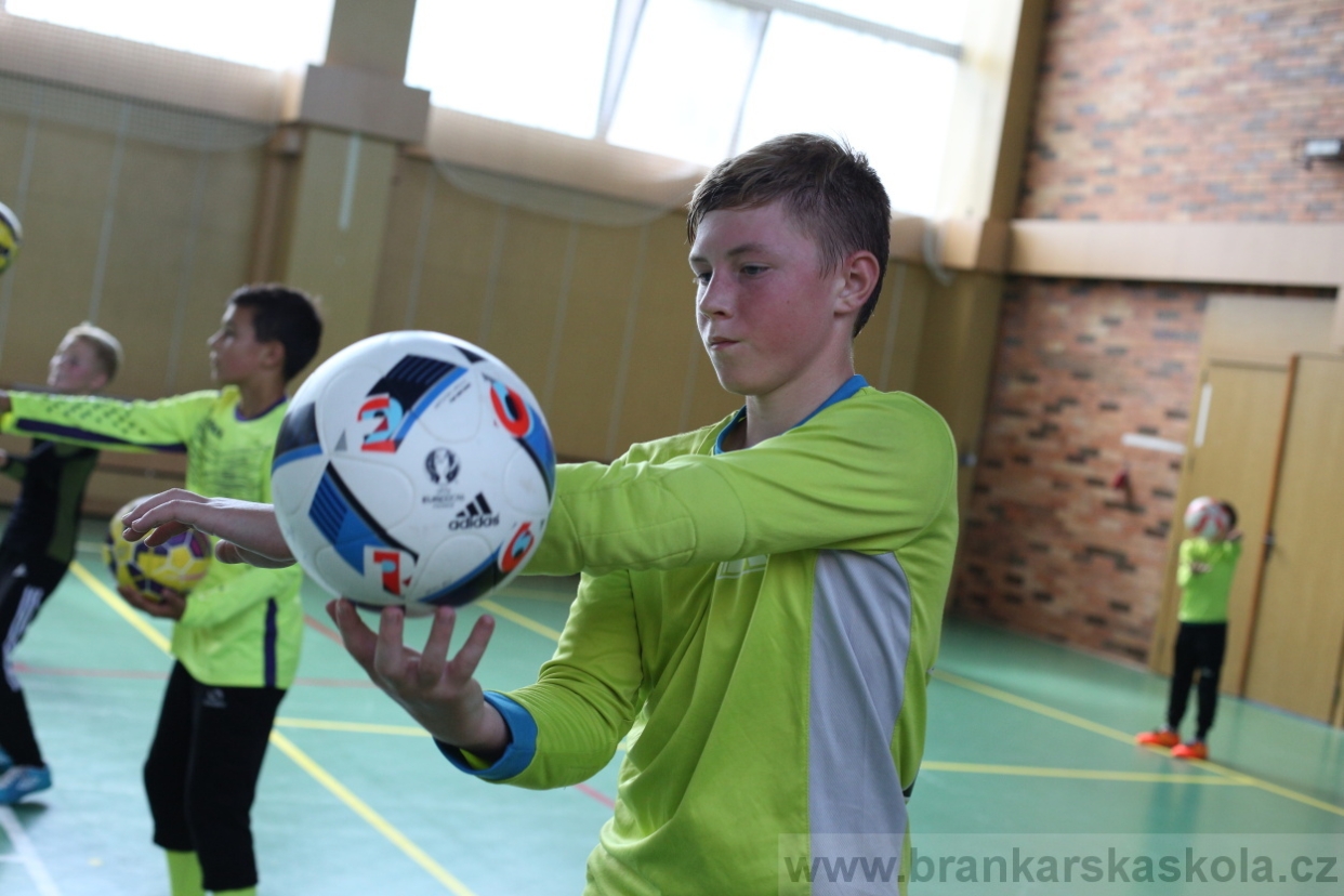 BFŠJCH - Léto 2017 - 28.7.2018