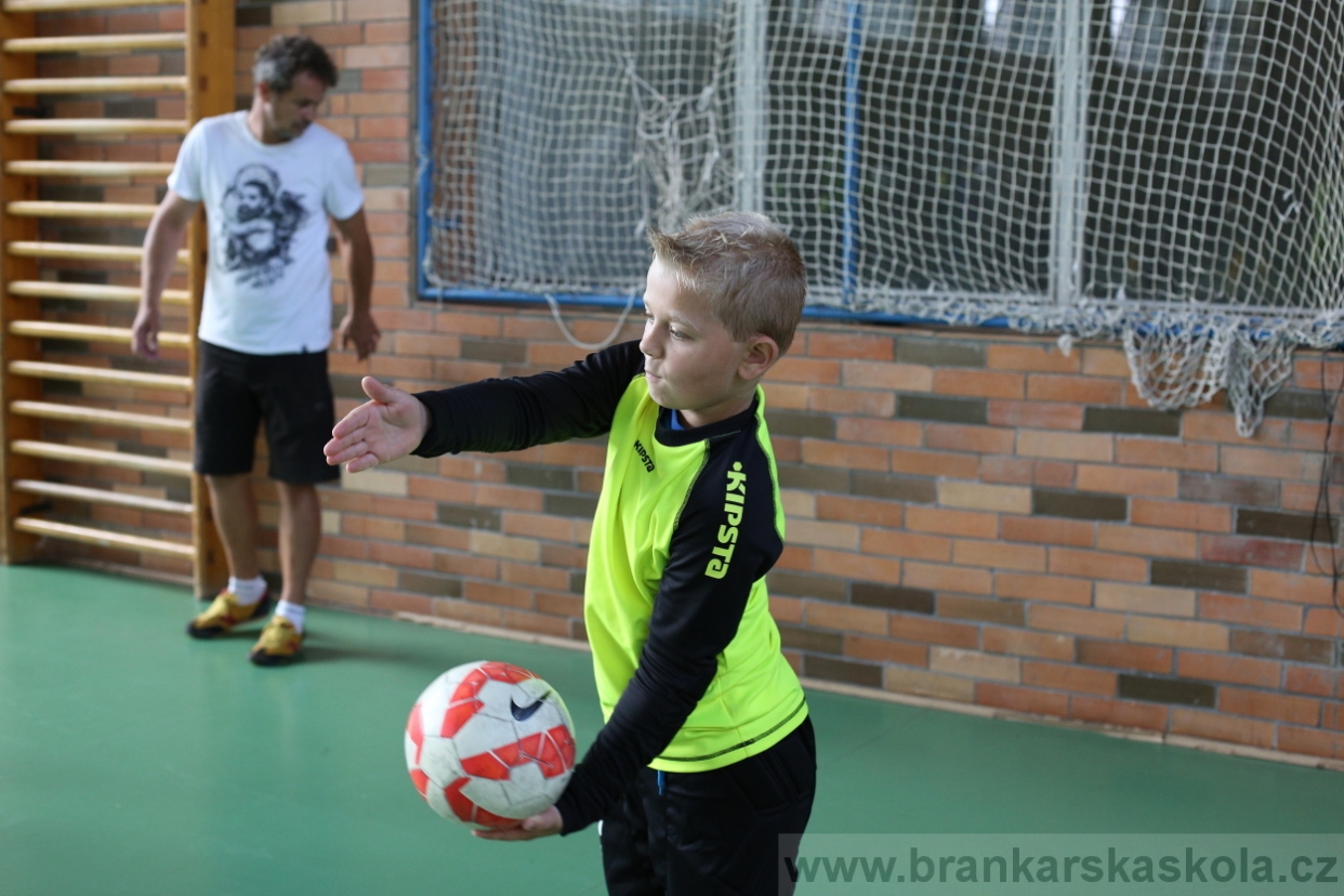 BFŠJCH - Léto 2017 - 28.7.2018