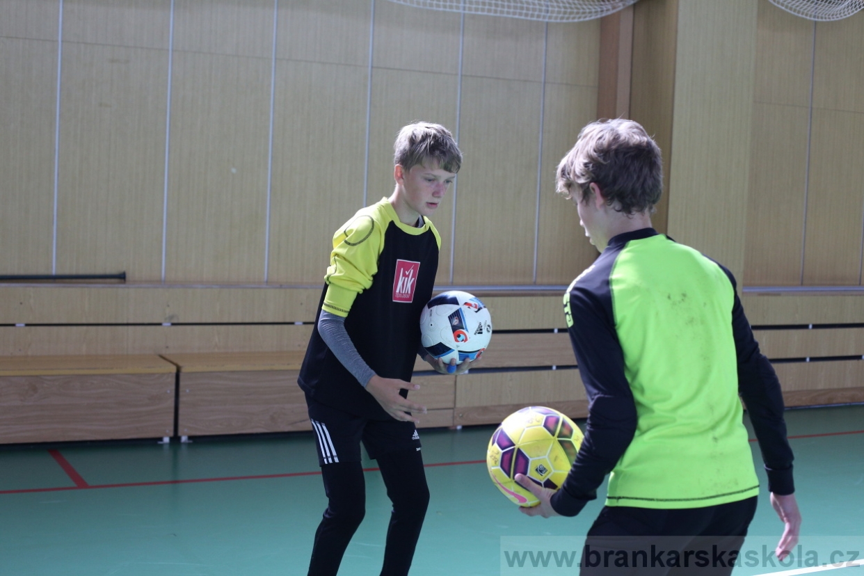 BFŠJCH - Léto 2017 - 28.7.2018