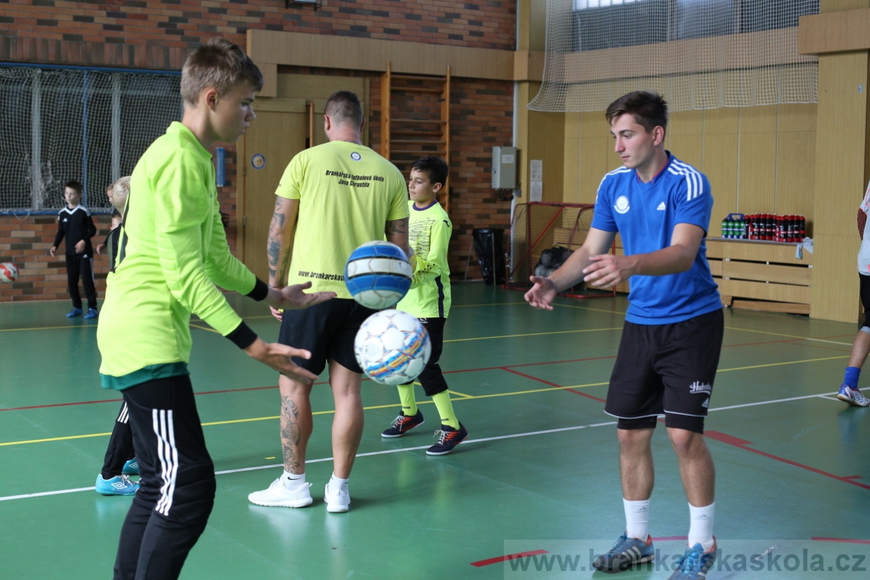 BFŠJCH - Léto 2017 - 28.7.2018