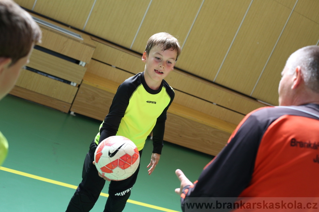 BFŠJCH - Léto 2017 - 28.7.2018