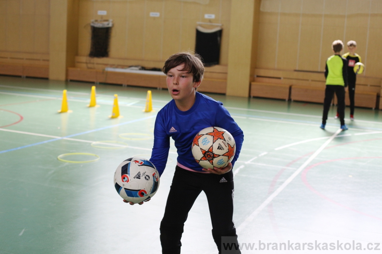 BFŠJCH - Léto 2017 - 28.7.2018