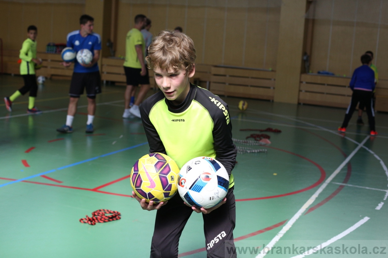 BFŠJCH - Léto 2017 - 28.7.2018