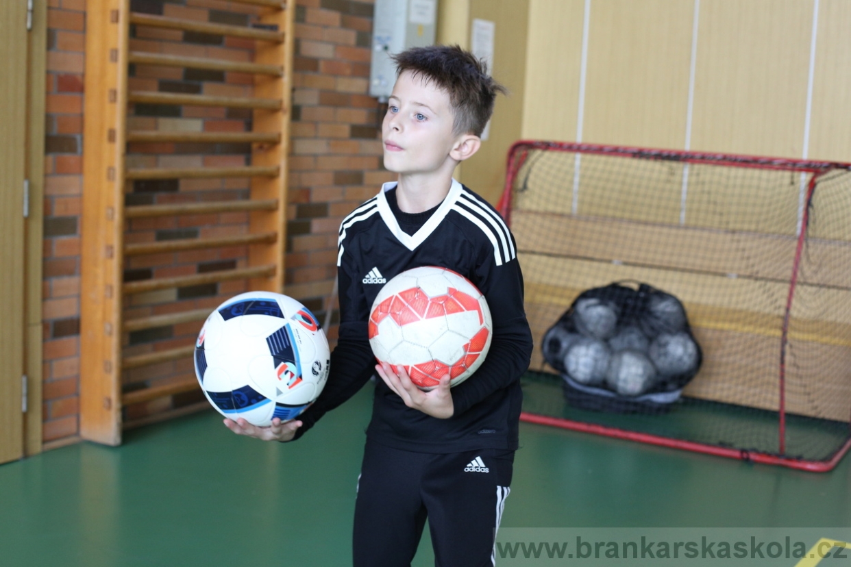 BFŠJCH - Léto 2017 - 28.7.2018