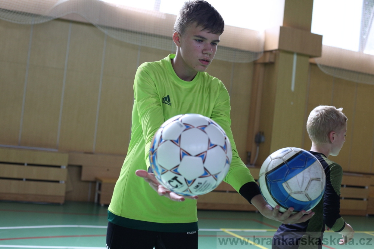 BFŠJCH - Léto 2017 - 28.7.2018