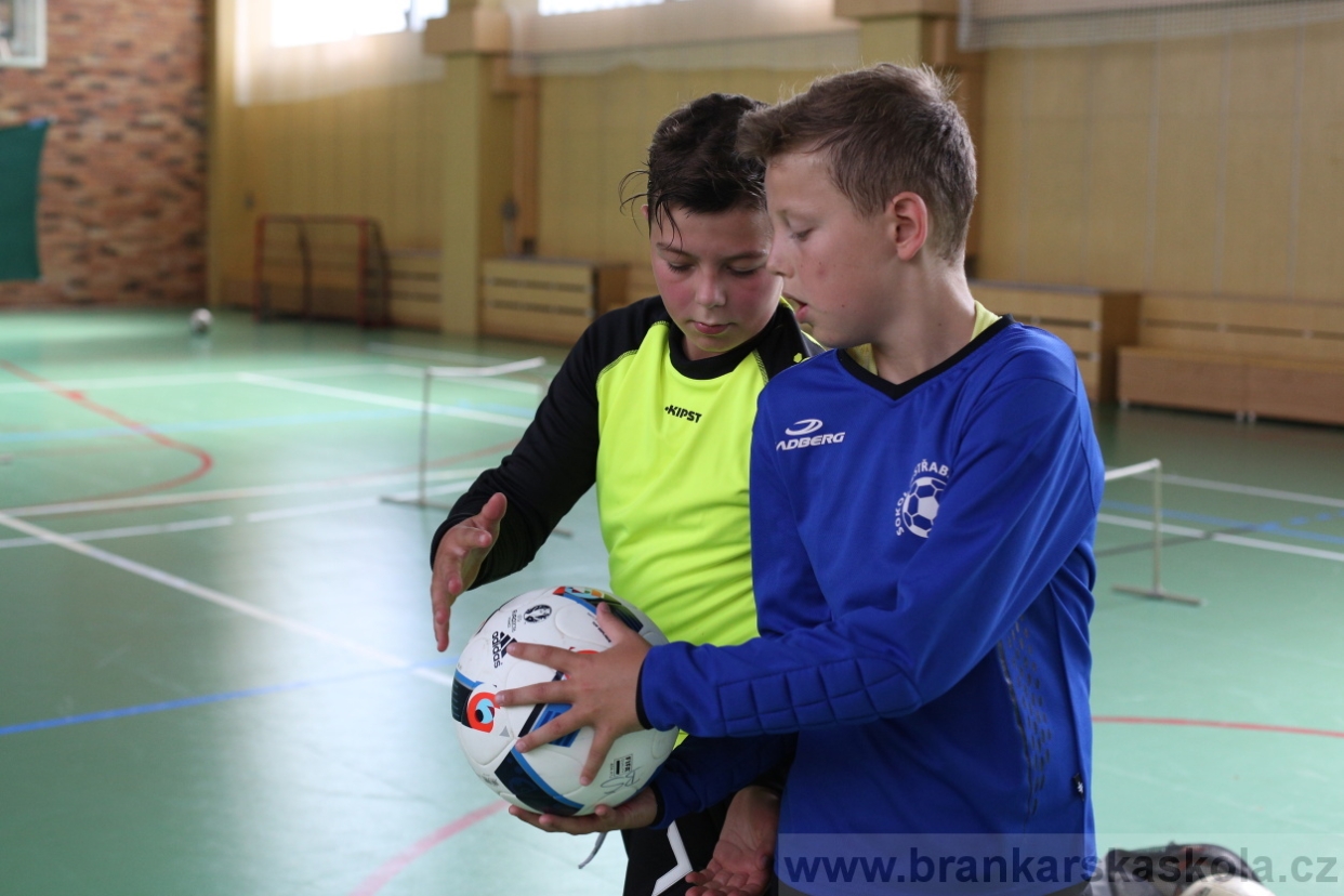 BFŠJCH - Léto 2017 - 28.7.2018