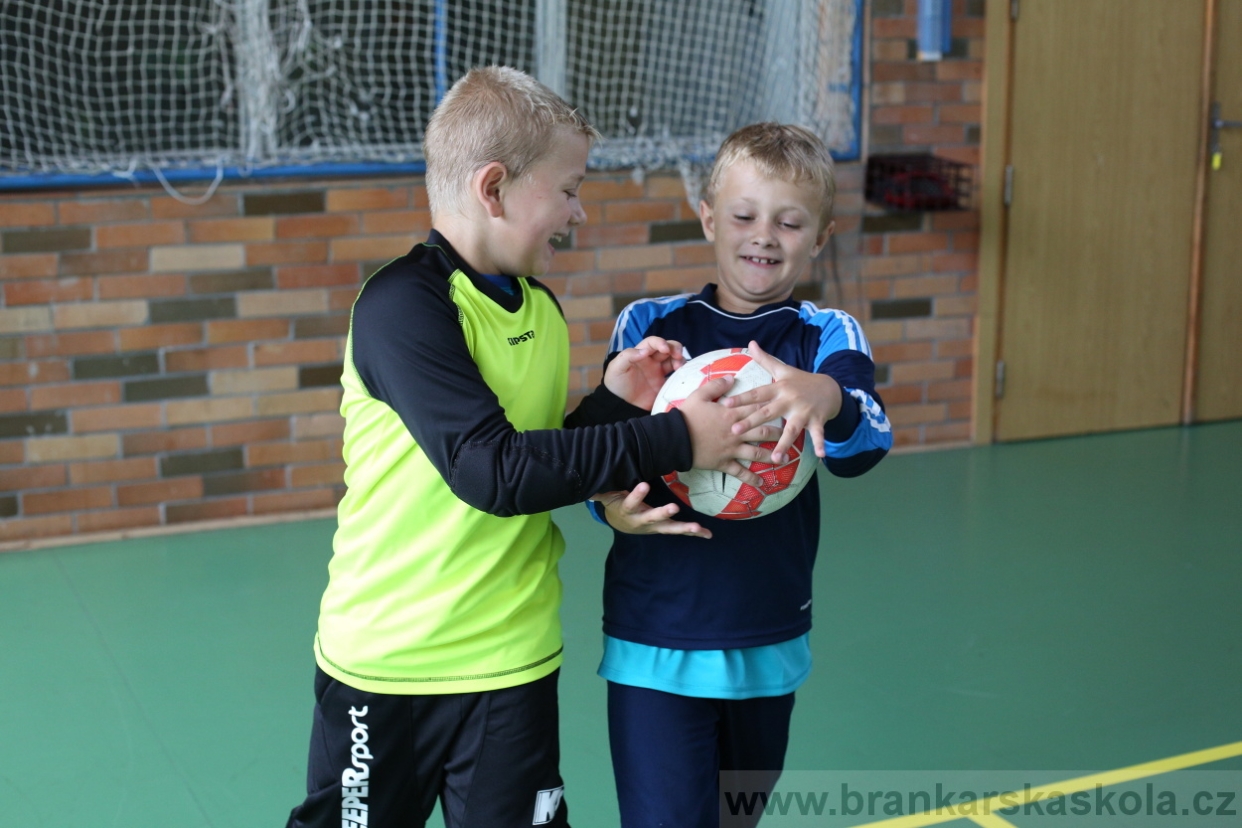 BFŠJCH - Léto 2017 - 28.7.2018