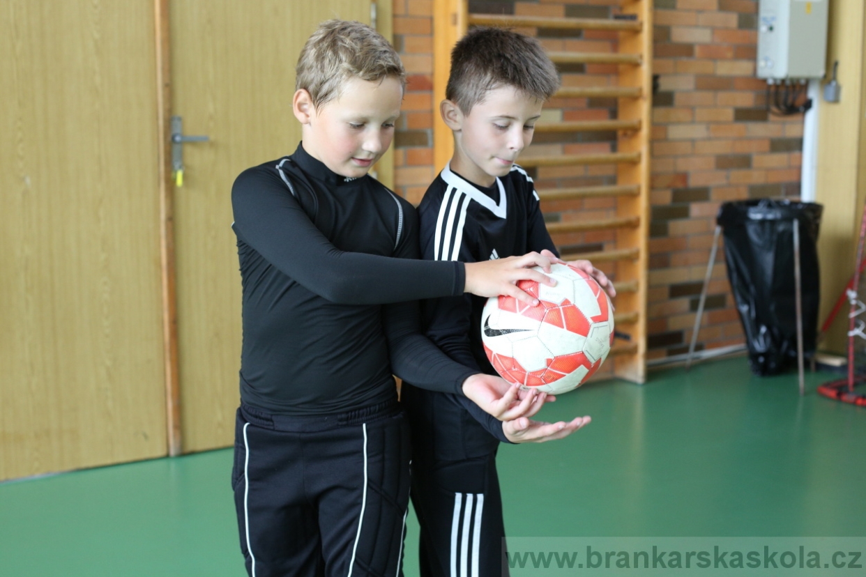 BFŠJCH - Léto 2017 - 28.7.2018