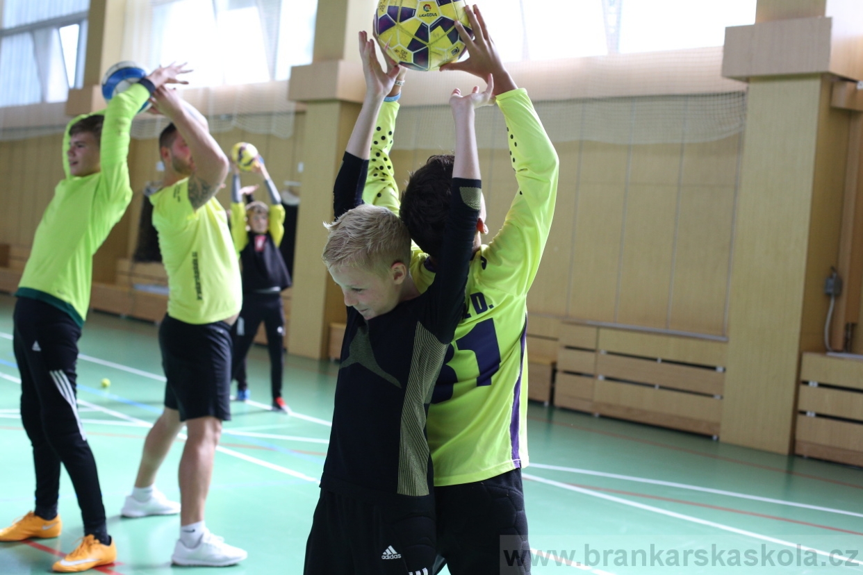 BFŠJCH - Léto 2017 - 28.7.2018