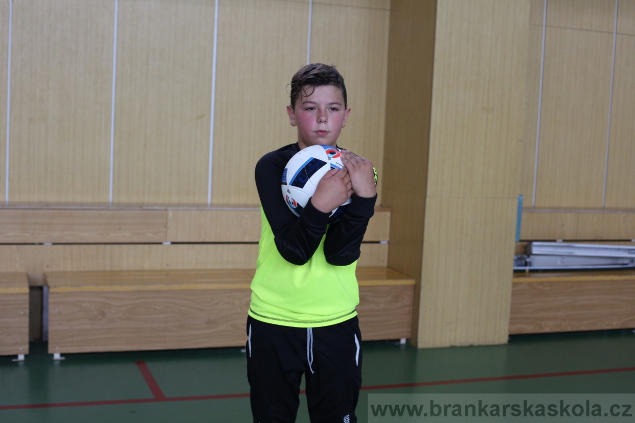 BFŠJCH - Léto 2017 - 28.7.2018