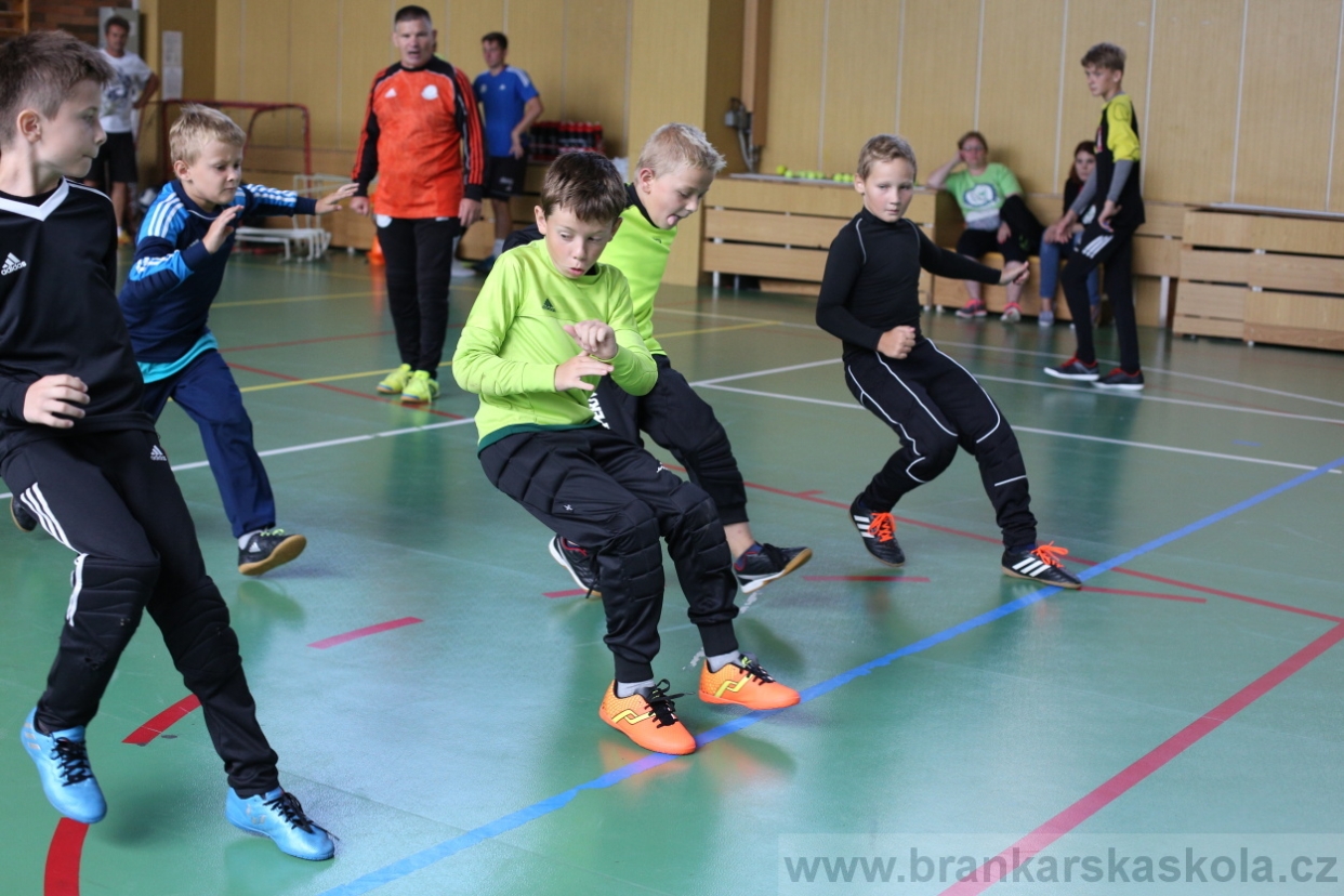 BFŠJCH - Léto 2017 - 28.7.2018