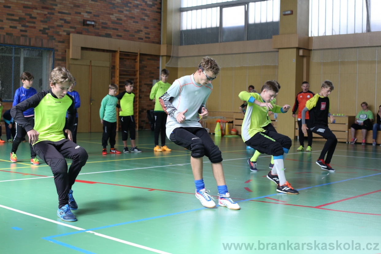 BFŠJCH - Léto 2017 - 28.7.2018