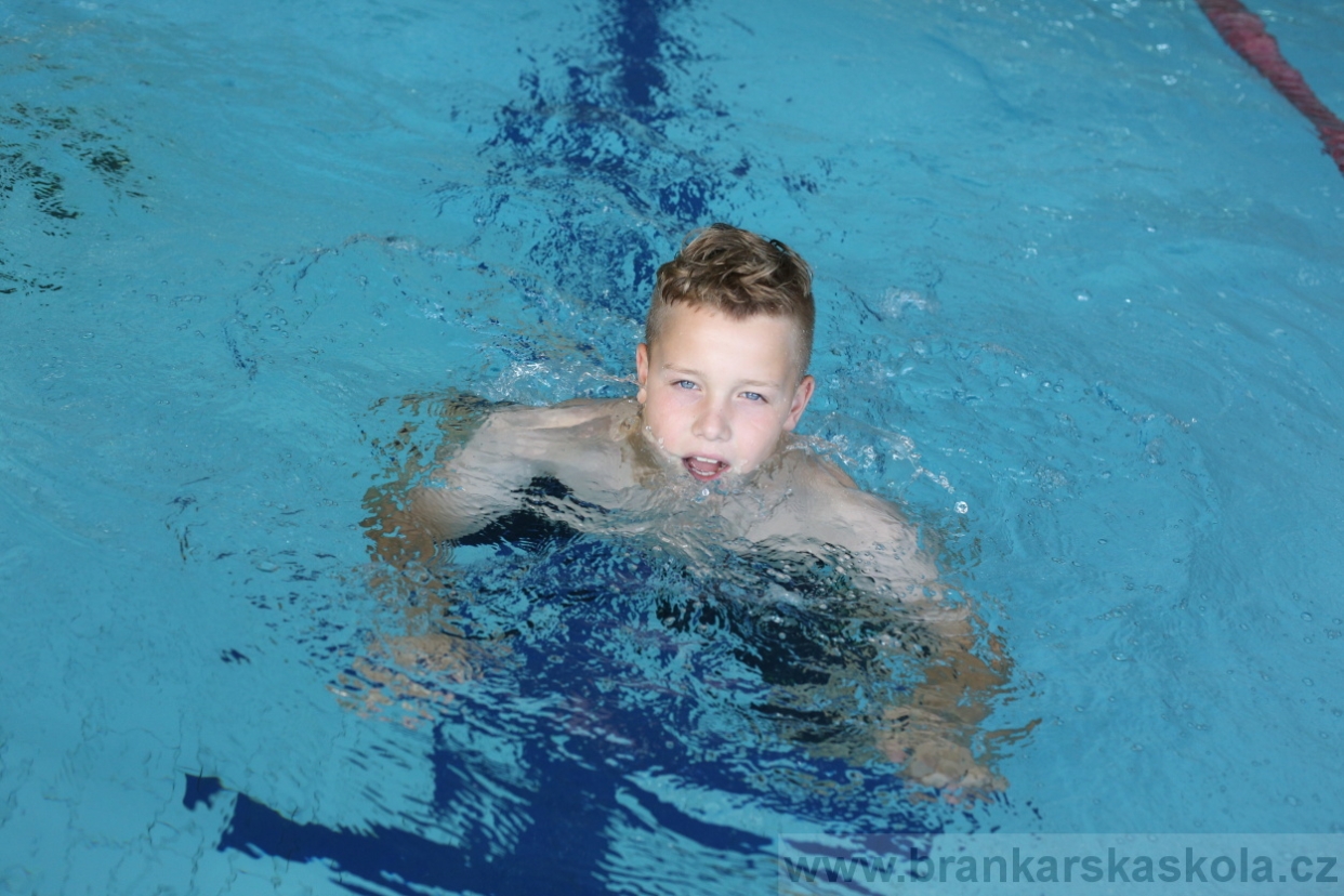 BFŠJCH - Léto 2017 - 28.7.2018