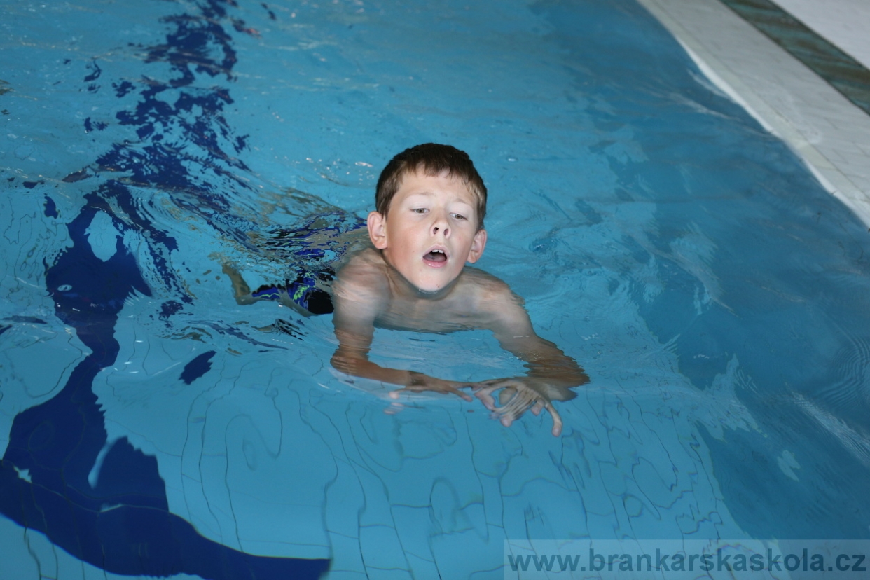 BFŠJCH - Léto 2017 - 28.7.2018