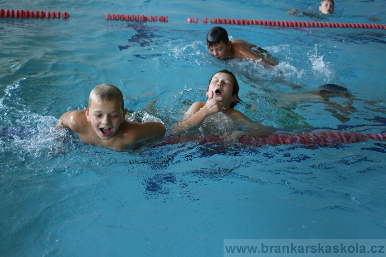 BFŠJCH - Léto 2017 - 28.7.2018