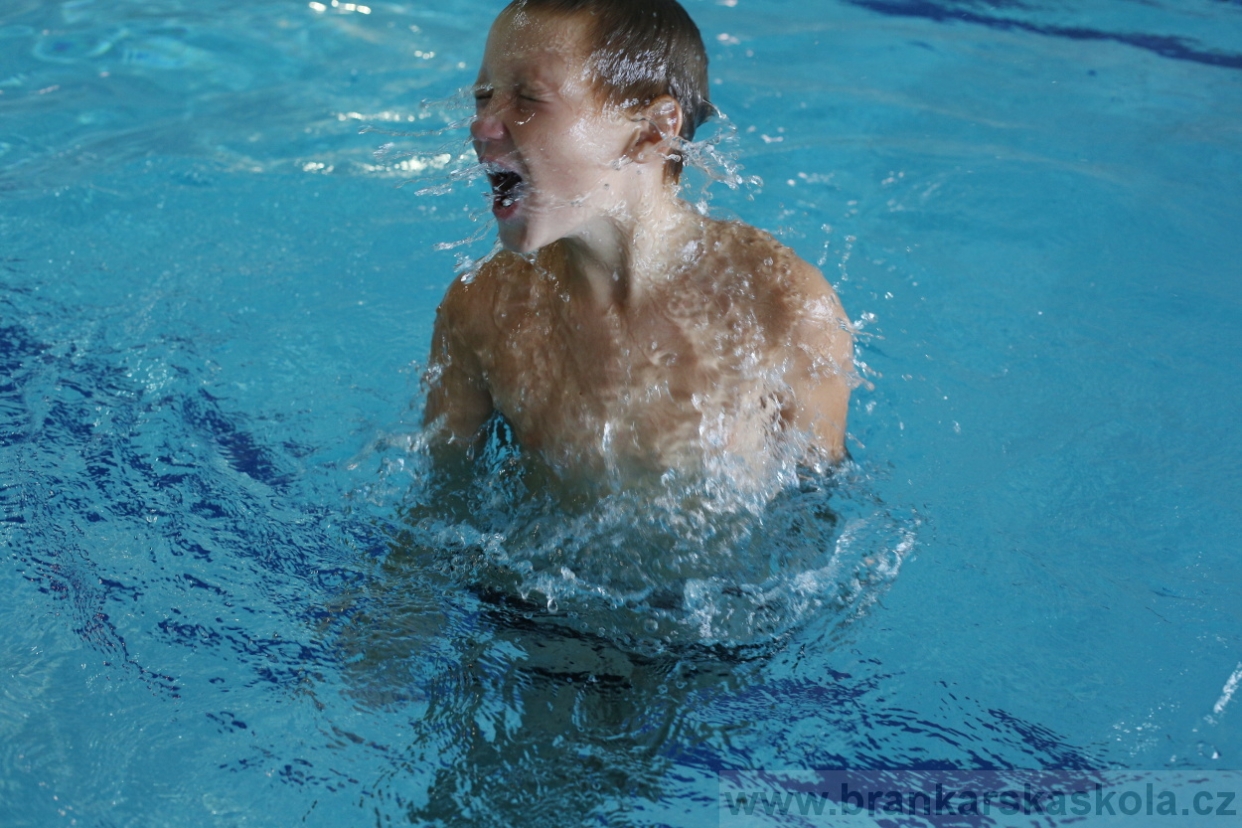 BFŠJCH - Léto 2017 - 28.7.2018