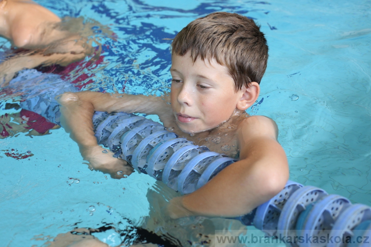 BFŠJCH - Léto 2017 - 28.7.2018