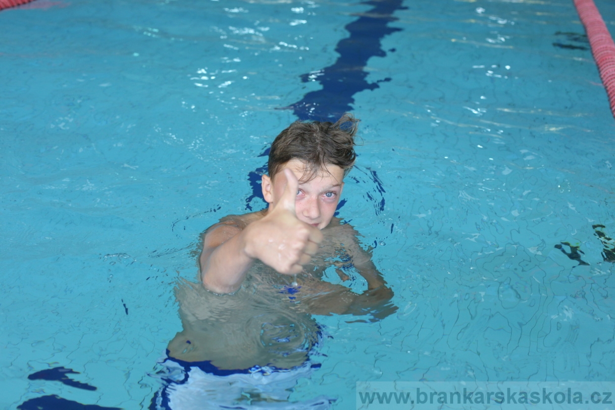 BFŠJCH - Léto 2017 - 28.7.2018