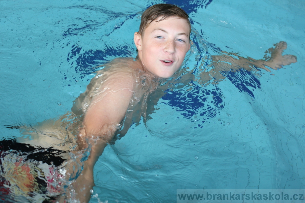 BFŠJCH - Léto 2017 - 28.7.2018