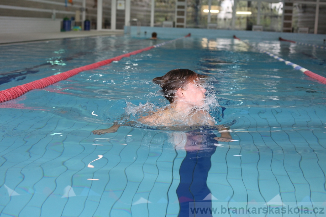 BFŠJCH - Léto 2017 - 28.7.2018