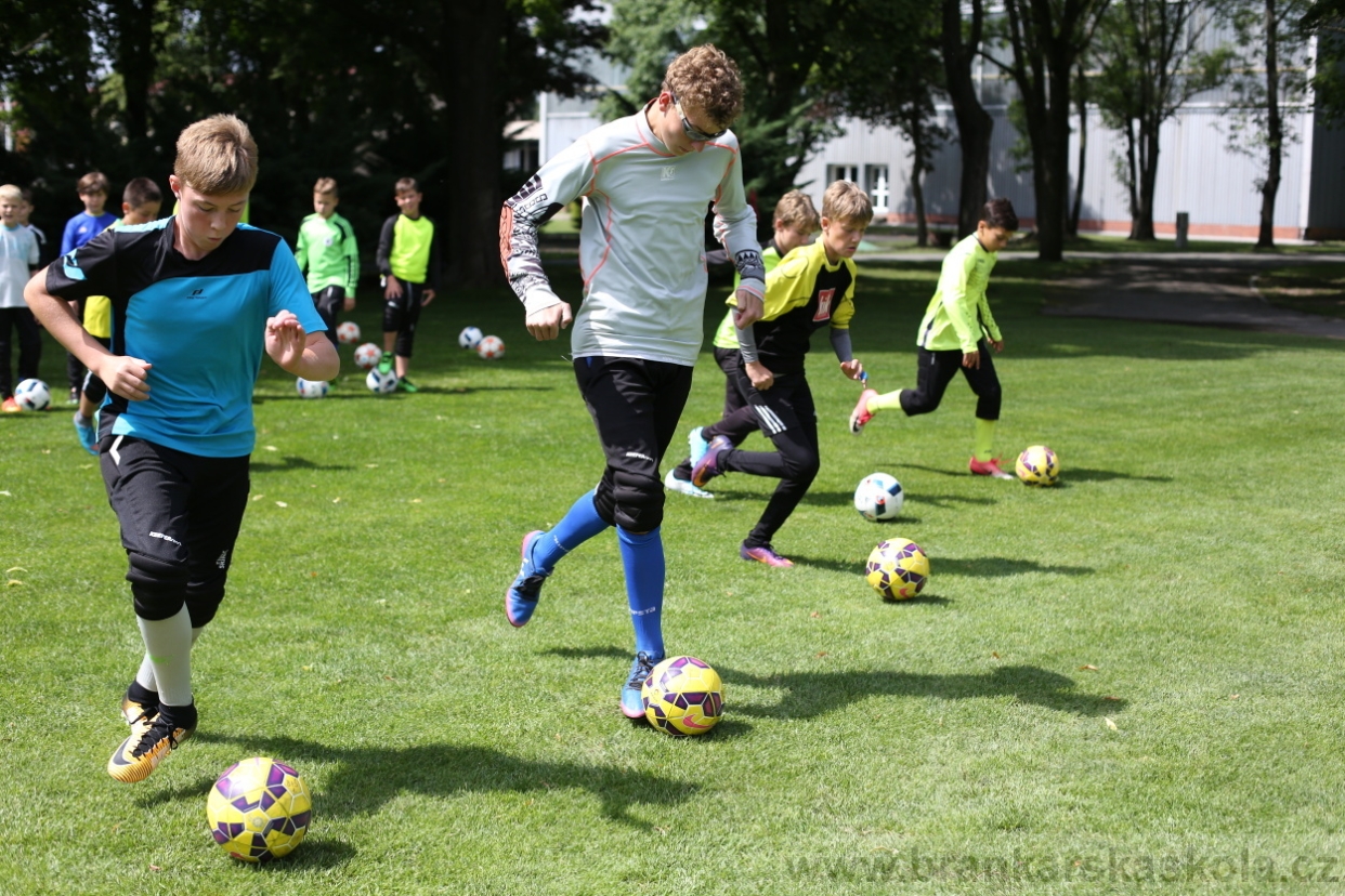 BFŠJCH - Léto 2017 - 28.7.2018