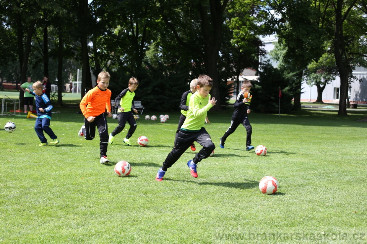 BFŠJCH - Léto 2017 - 28.7.2018