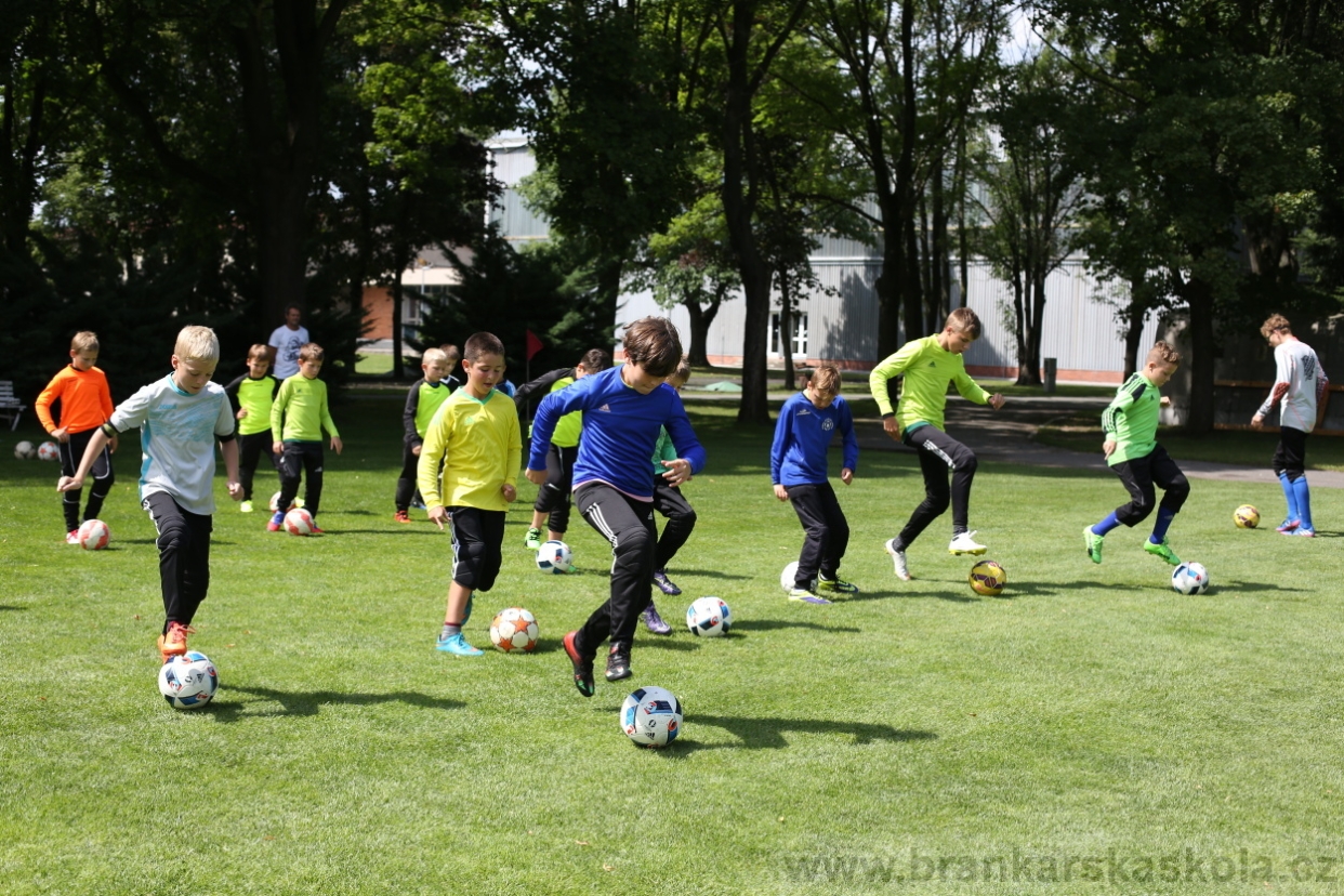 BFŠJCH - Léto 2017 - 28.7.2018