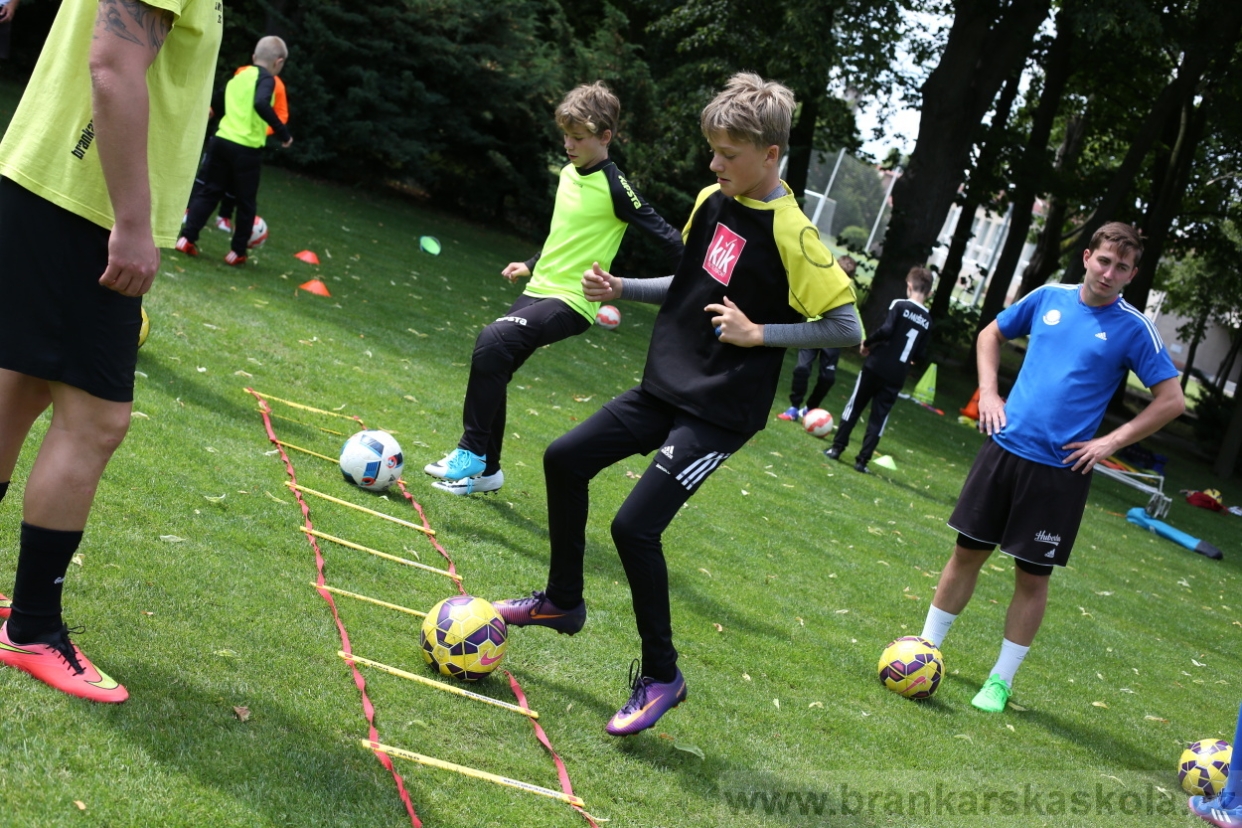 BFŠJCH - Léto 2017 - 28.7.2018