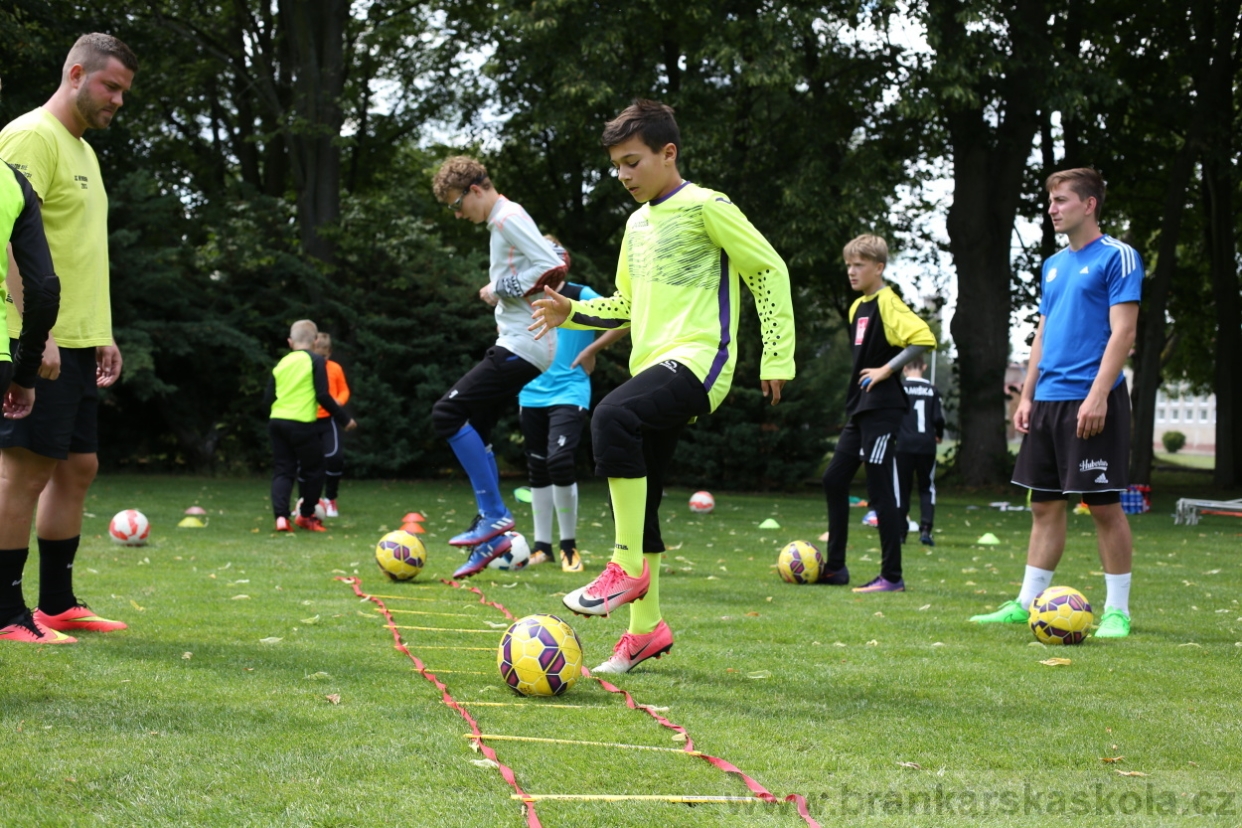 BFŠJCH - Léto 2017 - 28.7.2018