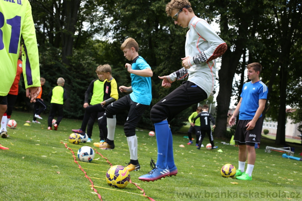 BFŠJCH - Léto 2017 - 28.7.2018