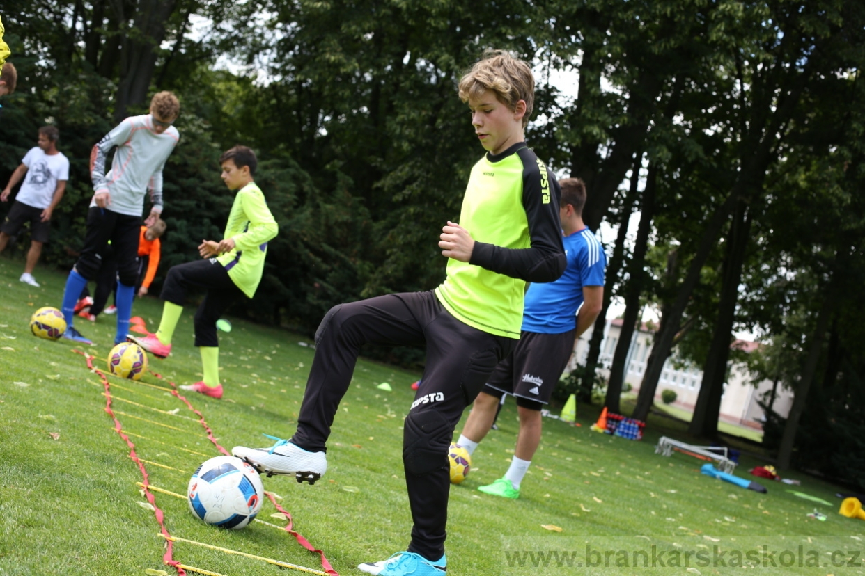 BFŠJCH - Léto 2017 - 28.7.2018