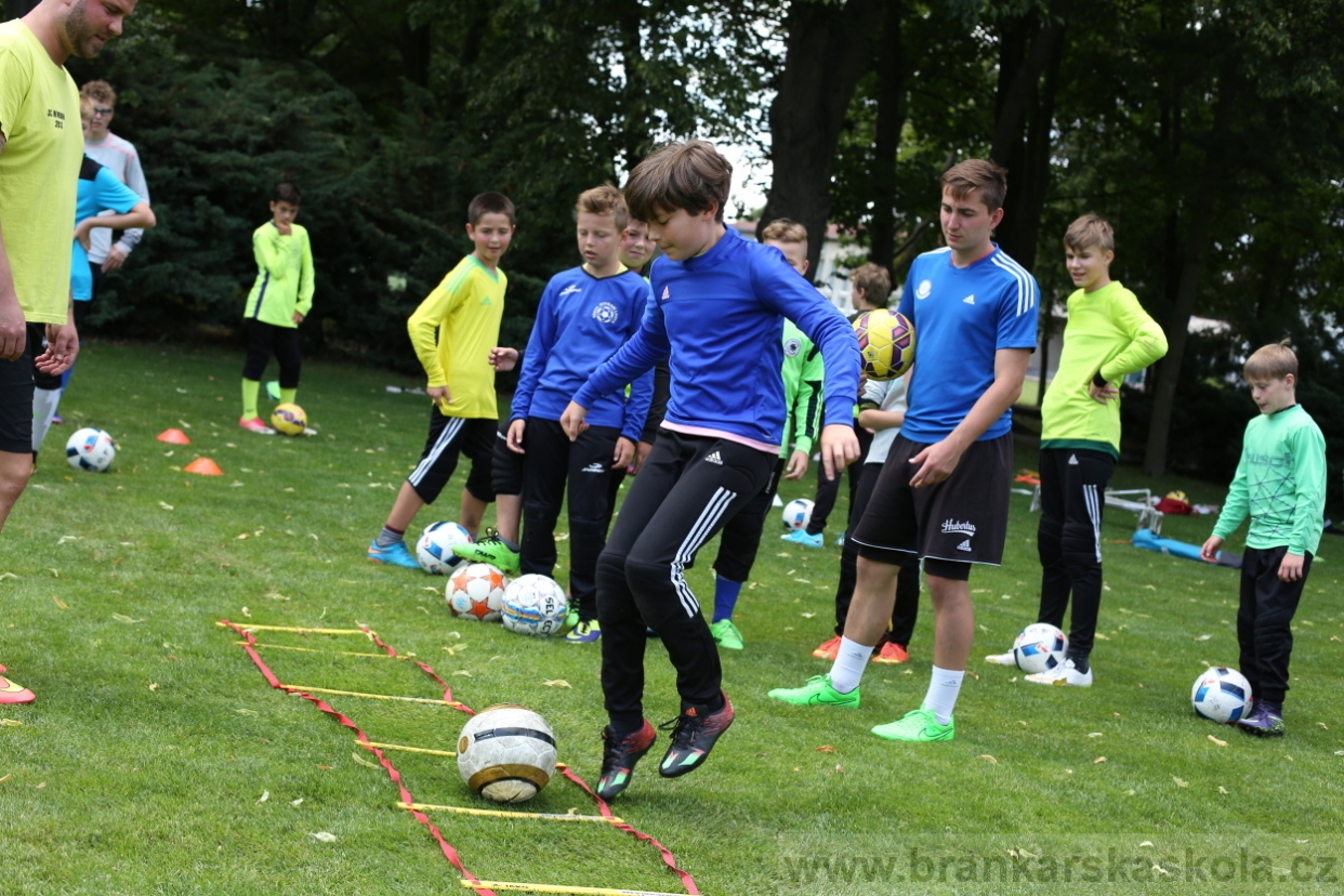 BFŠJCH - Léto 2017 - 28.7.2018