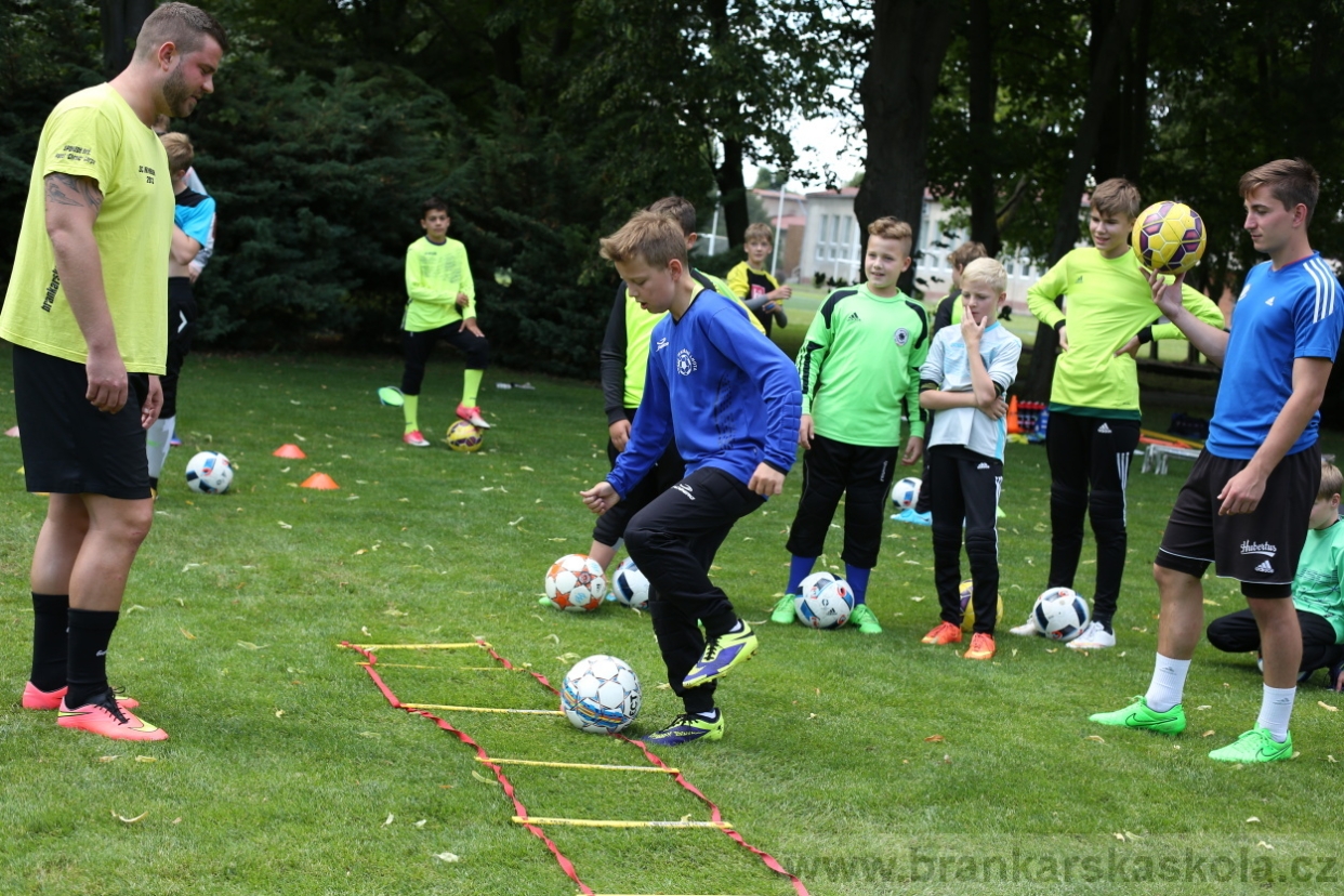 BFŠJCH - Léto 2017 - 28.7.2018