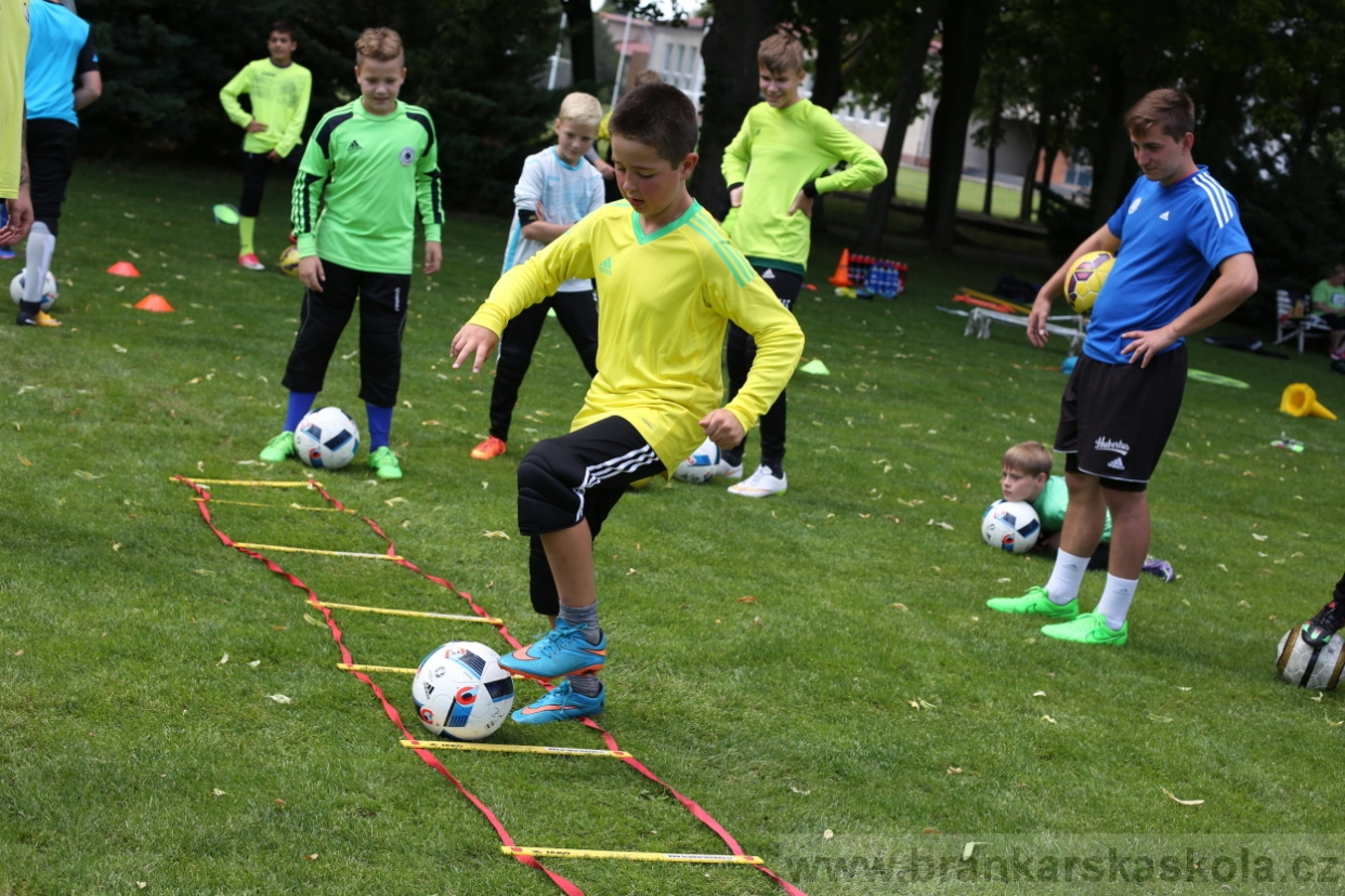 BFŠJCH - Léto 2017 - 28.7.2018