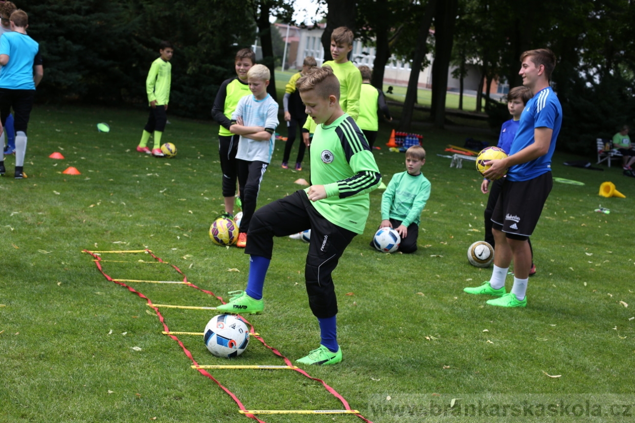 BFŠJCH - Léto 2017 - 28.7.2018