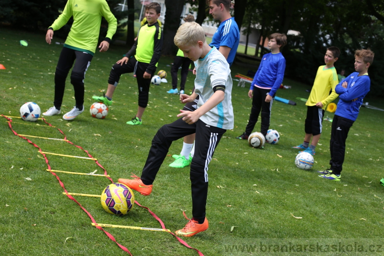 BFŠJCH - Léto 2017 - 28.7.2018