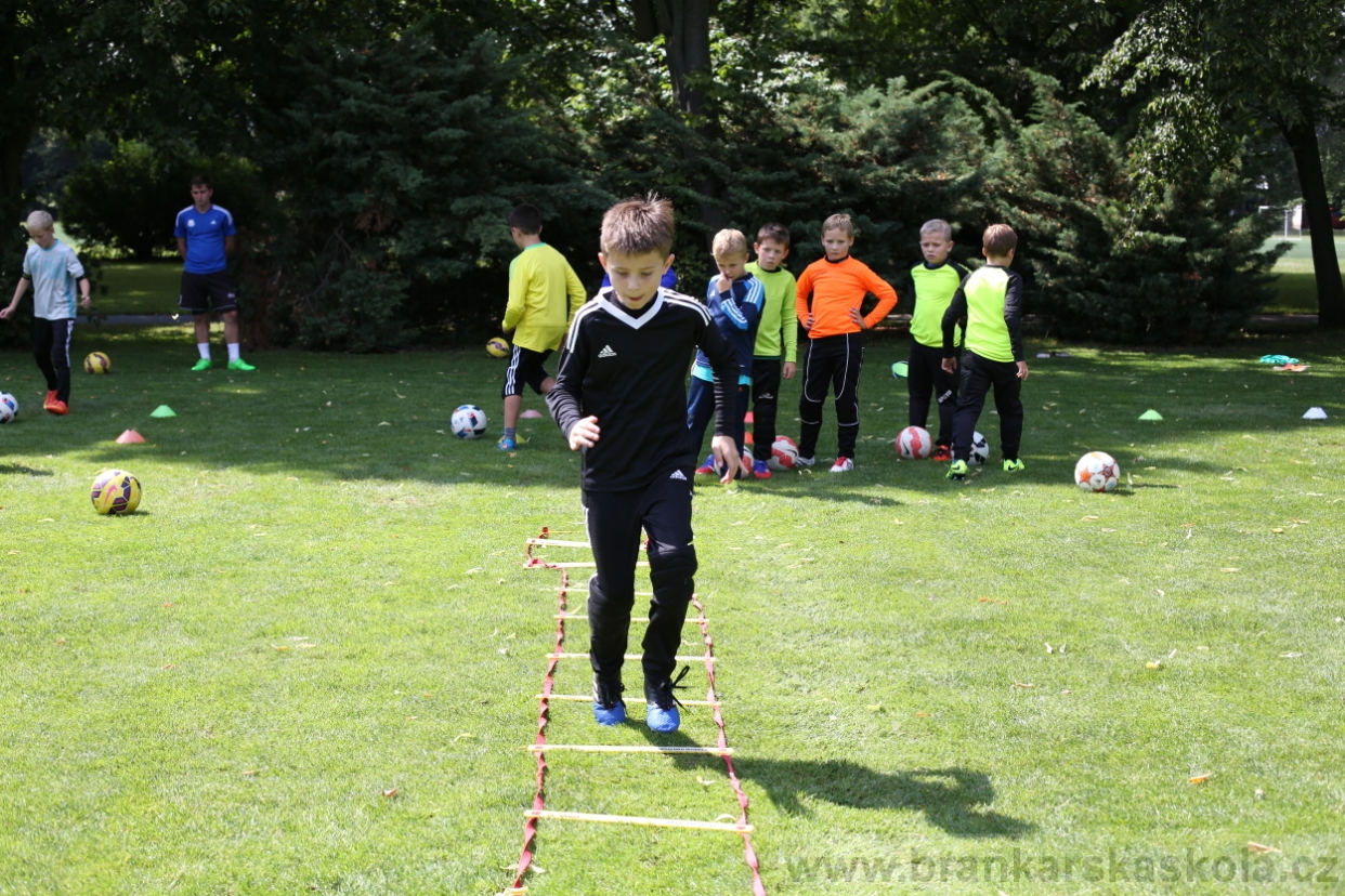 BFŠJCH - Léto 2017 - 28.7.2018