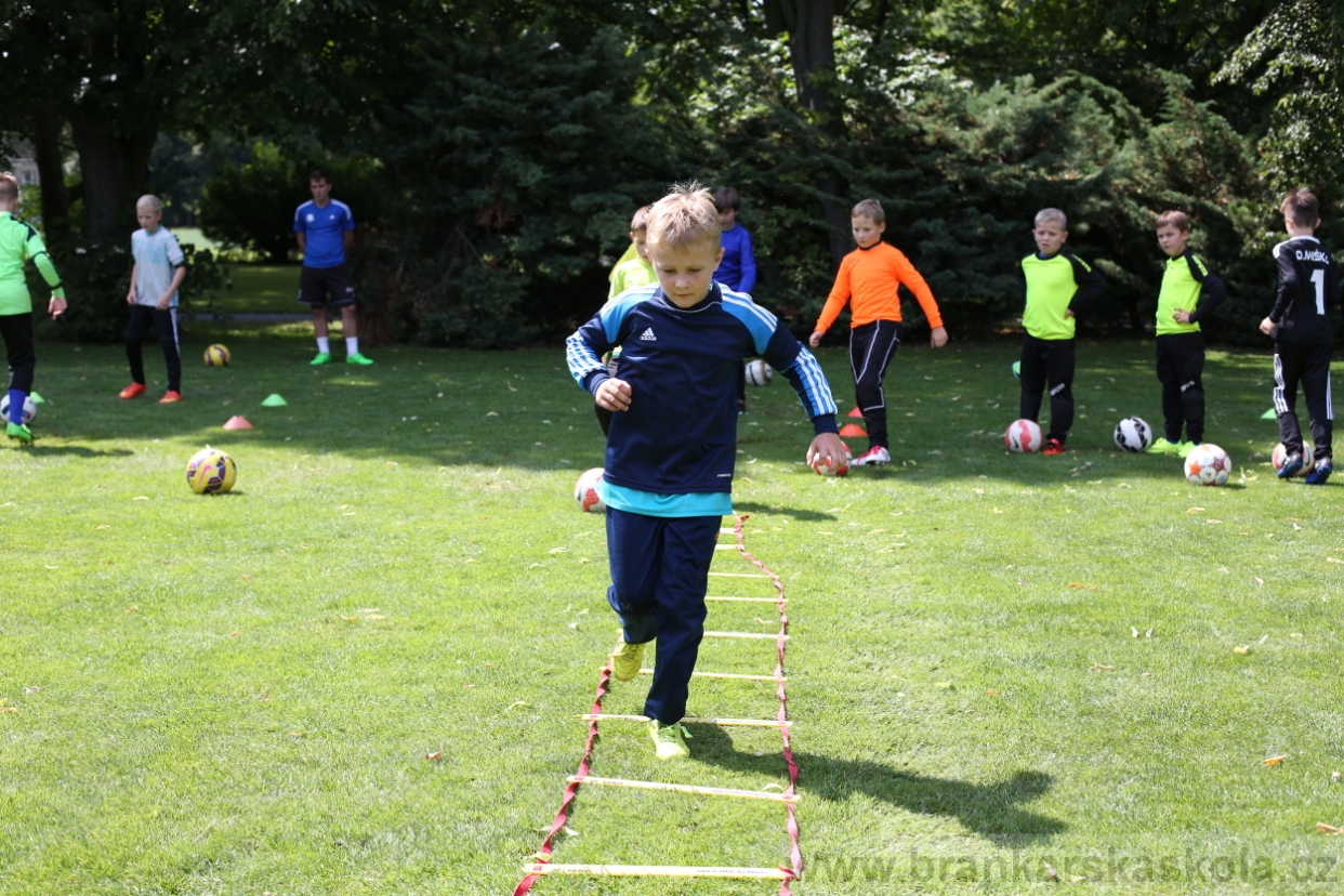 BFŠJCH - Léto 2017 - 28.7.2018