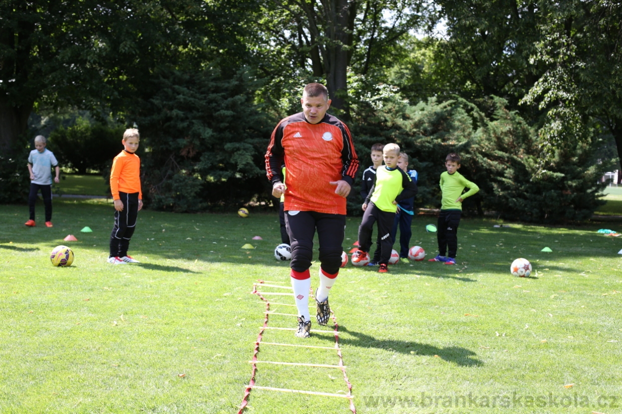 BFŠJCH - Léto 2017 - 28.7.2018