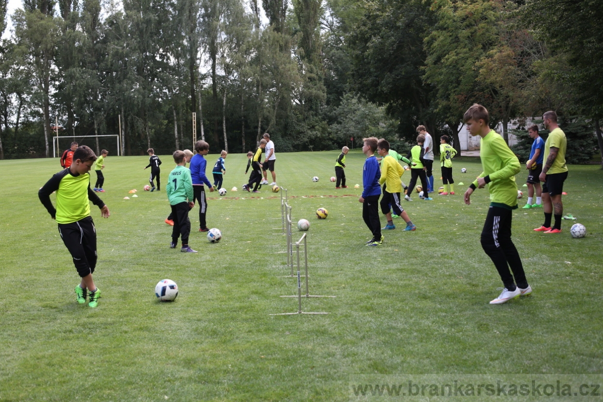 BFŠJCH - Léto 2017 - 28.7.2018